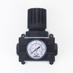 REGULATEUR AVEC MANO (0.5 - 10 BAR) 1/4