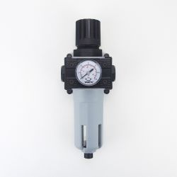 FILTRE REGULATEUR  (FILTRATION 25U) 1/4