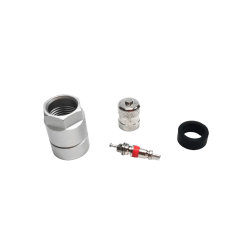 KIT ENTRETIEN POUR SCHRADER GEN2/3 (6-118)