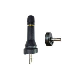 VALVE SNAP-IN CAOUTCHOUC TPMS POUR CAPTEUR VDO TG1D