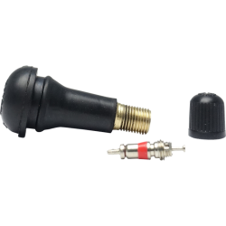 VALVES TR413 M1496 DEMONTEES (VENDUES PAR 100)
